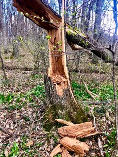 Fotografia z Kellner Heidi na trase