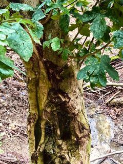 Fotografie z Kellner Heidi na trase