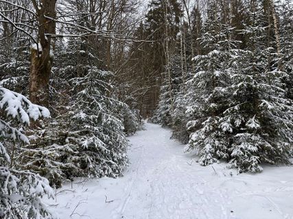 Photo de Norbert Herbig le long du parcours