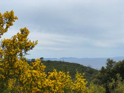 Photo de Tanja Wiese le long du parcours