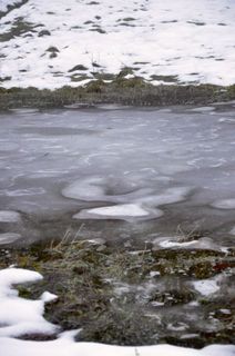Zdjęcie z Kellner Heidi wzdłuż trasy