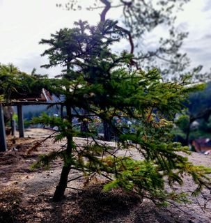 Foto von Jörg Rost entlang der Tour