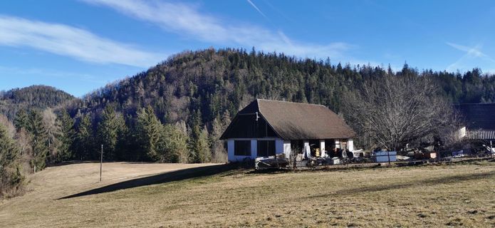 Foto von Albegger Nelly entlang der Tour