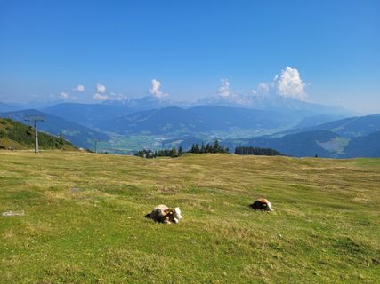 Photo de mmecki le long du parcours