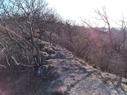 Fotografia z Ferenc Kiss na trase