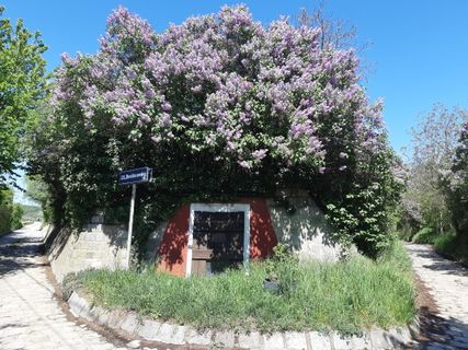 Fotografija s spletne strani mmecki na poti
