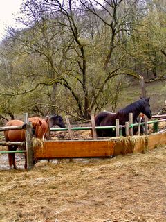Foto von Kellner Heidi entlang der Tour