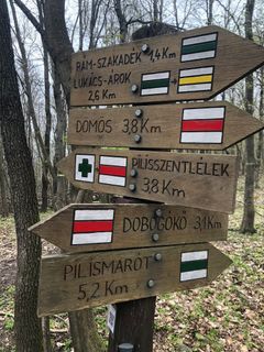 Fotografia z Gergő Pavlik na trase