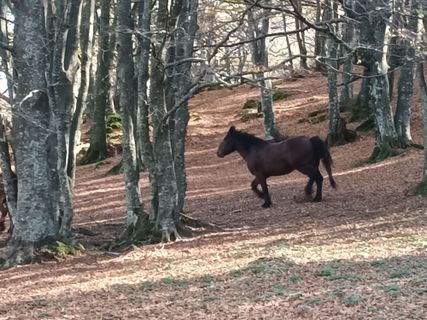Photo de Gabriele Cucchi le long du parcours