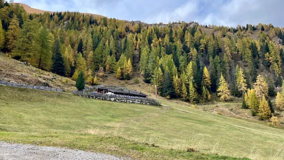 Foto von Katja Hechler entlang der Tour