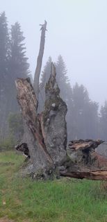 Foto von richthom entlang der Tour