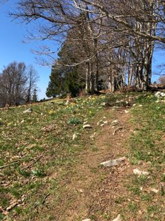 Foto de Jan Nyffenegger a lo largo del recorrido