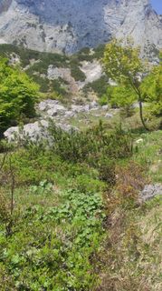 Foto von Michael entlang der Tour
