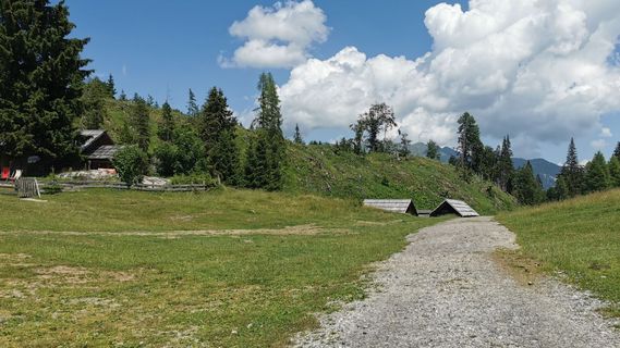 Photo de Bernd Schmitt le long du parcours