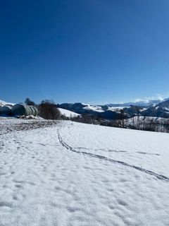 Fotografija s spletne strani Mario Klauser na poti