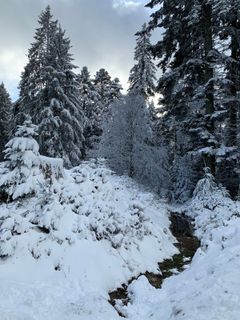 Foto de Dragana Martinovic a lo largo del recorrido