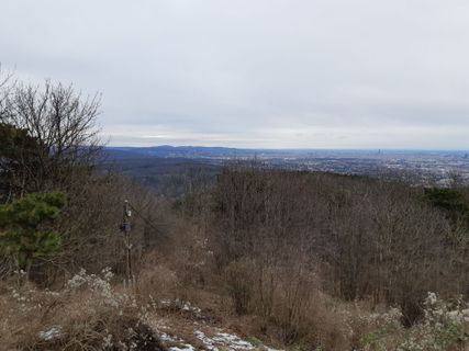 Foto de mmecki a lo largo del recorrido