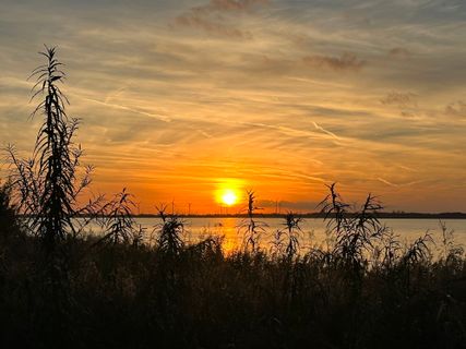 Photo de Norbert Herbig le long du parcours