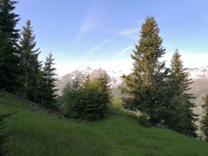 Foto von Hermann Gruber 1 entlang der Tour