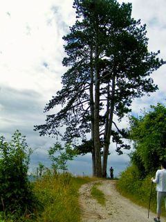 Photo de Kellner Heidi le long du parcours