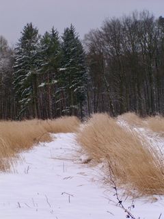 Foto von Kellner Heidi entlang der Tour