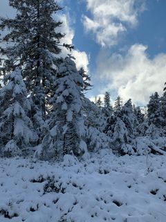 Foto de Dragana Martinovic a lo largo del recorrido