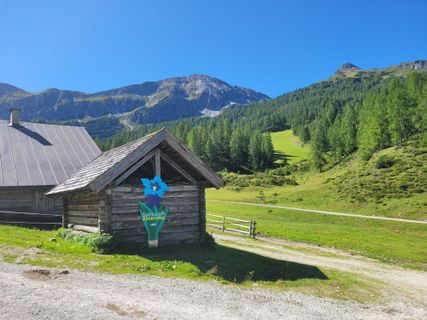 Foto von mmecki entlang der Tour