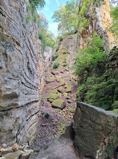 Zdjęcie z Jaap Rozeboom wzdłuż trasy