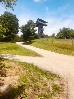 Fotografia z Kellner Heidi na trase