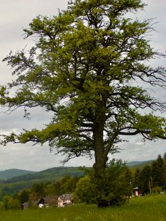 Foto von Kellner Heidi entlang der Tour