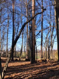 Foto de Barbara Schober a lo largo del recorrido