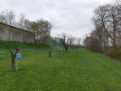 Foto von mmecki entlang der Tour