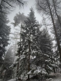 Foto von Antonietta Havasi entlang der Tour