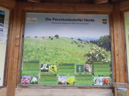 Photo de mmecki le long du parcours