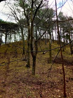 Foto von Kellner Heidi entlang der Tour