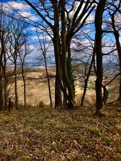 Zdjęcie z Kellner Heidi wzdłuż trasy