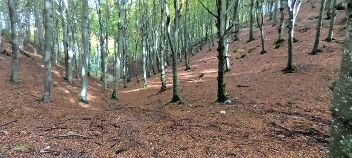 Fotografija s spletne strani Gabriele Cucchi na poti