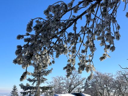 Foto von Norbert Herbig entlang der Tour