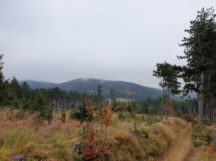 Foto de Konrad a lo largo del recorrido