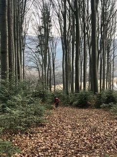 Photo de Kellner Heidi le long du parcours