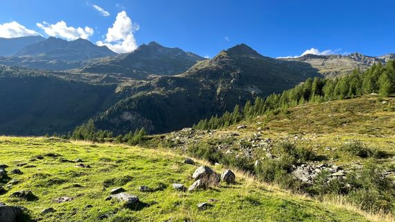 Photo de Katja Hechler le long du parcours