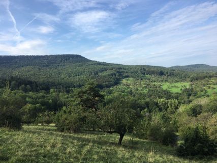 Fotografia z Ralf Umminger na trase