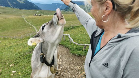 Fotografija s spletne strani Bernd Schmitt na poti