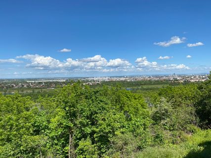 Foto von szymonek70 entlang der Tour