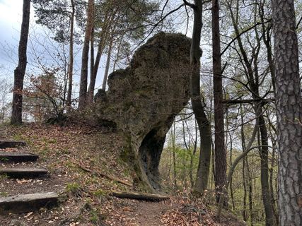 Photo de Norbert Herbig le long du parcours