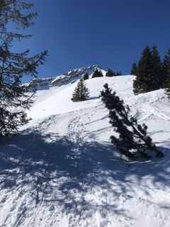 Fotografie z Heikoala na trase