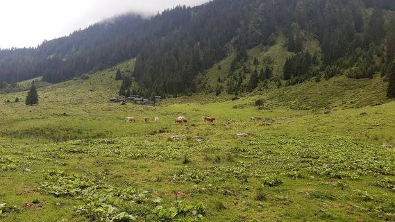 Fotografija s spletne strani Ralf Pfannschmidt na poti