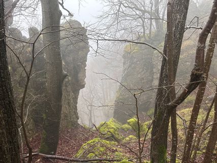 Foto de Norbert Herbig a lo largo del recorrido