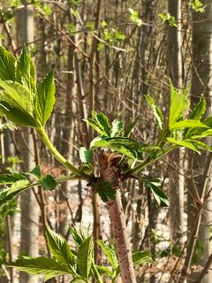 Foto von Kellner Heidi entlang der Tour