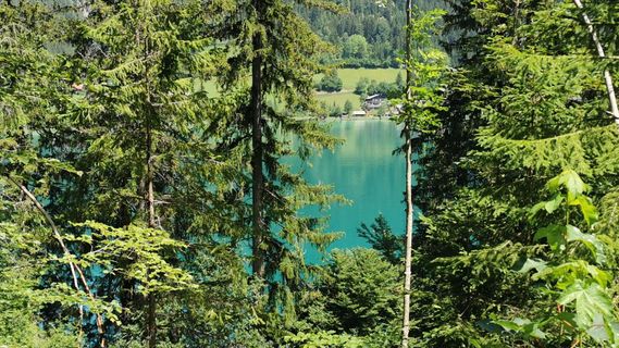 Foto van Bernd Schmitt langs de tour